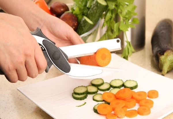 Easy Smart Stainless Steel Food Cutter - Option For Two