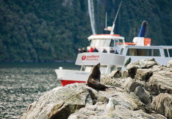 Milford Sound Coach & Nature Cruise incl. Lunch & Hot Drink for One, Departing from Queenstown - Options for up to Four People