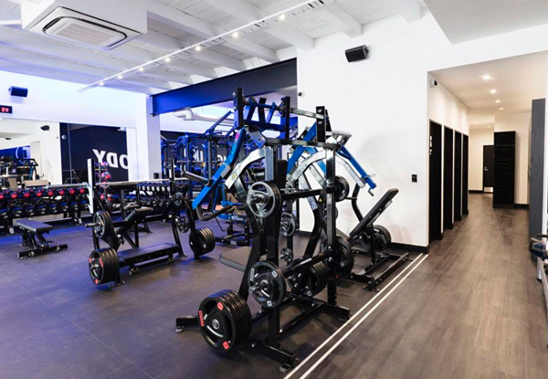 Four-Week Iron Hood 24-Hour Gym Access incl. Personal Trainer Session