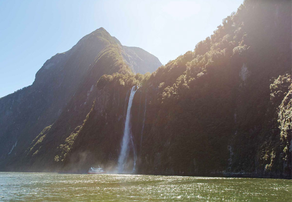 Two Hour Milford Sound Nature Cruise for One Person - Option for Two or Four People