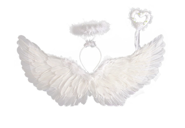 Three-Piece Feather Angel Wings Set