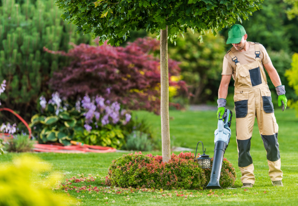 One-Hour Garden Maintenance Package - Options for Up to Six-Hours