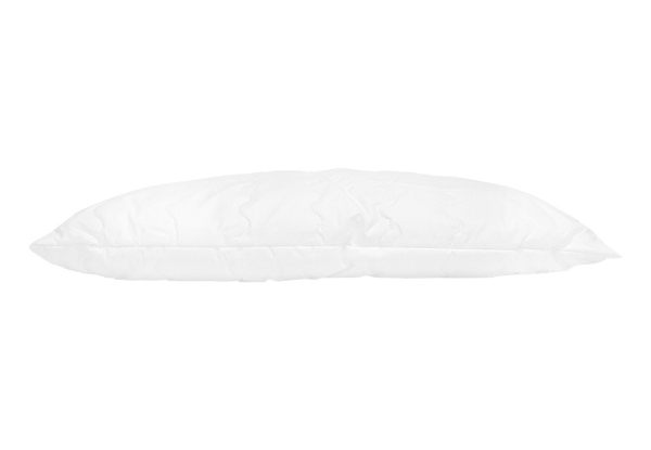Drylife Kids Cotton Pillow with Quilted Outer Layer