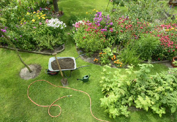 Garden Maintenance - Five Options Available