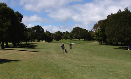 $25 for 18 Holes of Golf for One Player, $45 for Two or $80 for Four Players