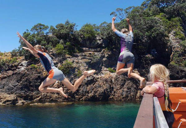 Full Day Island & Wildlife Cruise for Two People incl. Stopover to Jump Off Boat & Swim - Options for Family Pass or up to Eight People