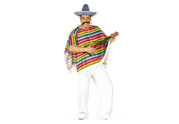 $16 for a Poncho Costume – Pick up from Nine Locations