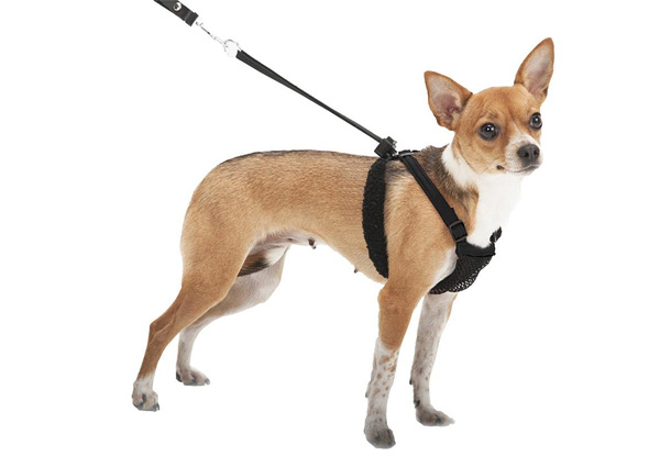 Anti-Pull Mesh Breathable Dog Harness