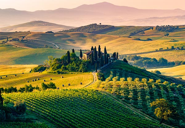 Per-Person Twin-Share 12-Day Delights of Italy Coach Tour incl. Activities, Experiences, City Tours & More