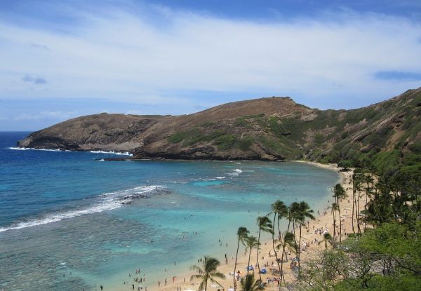 Per-Person Twin-Share, Four-Night Honolulu Christmas Shopping Trip Incl. Return Flights From Auckland, Four Nights Accommodation, a Snorkelling Day Trip to Hanauma Bay & a Waikele Outlet Shopping Shuttle Return Pass