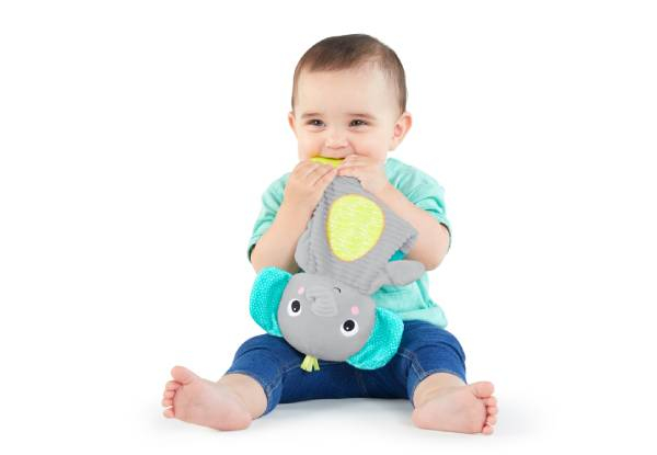 Bright Starts Teether & Toy Range - Two Options Available