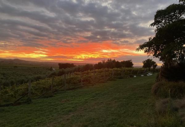 Food & Wine Experience for Two People in Hawkes Bay incl. 10% Discount off Any Hawkes Ridge Goods
