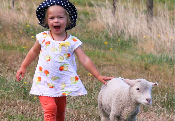 $5 for a Day Out at the Farm Park & the Bush Discovery Trail & Museum (value up to $15)