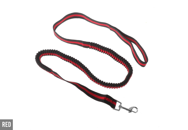 1.2m Expandable Bungee Dog Leash - Available in Five Colours