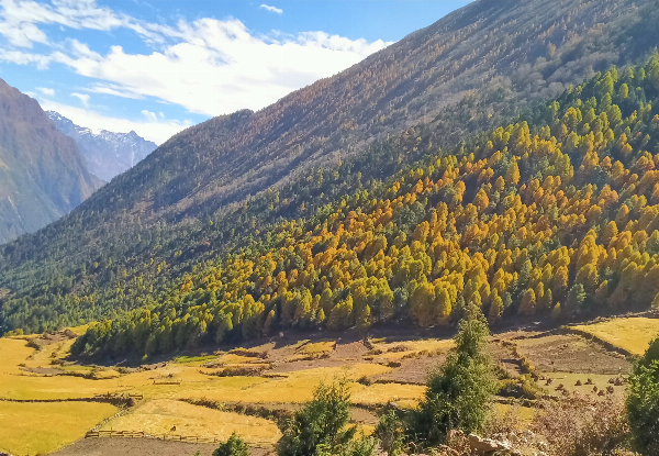 Per Person, Twin-Share 15-Day Nepal Manaslu Circuit Trek Package incl. Accommodation, Airport Transfers, Transportation, Guide, Permits & More