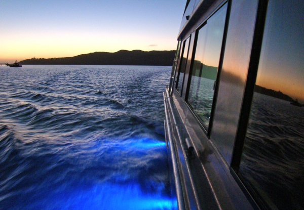 Sunset Cruise on the "Wahine Moe" Adult Pass - Option for Child Pass