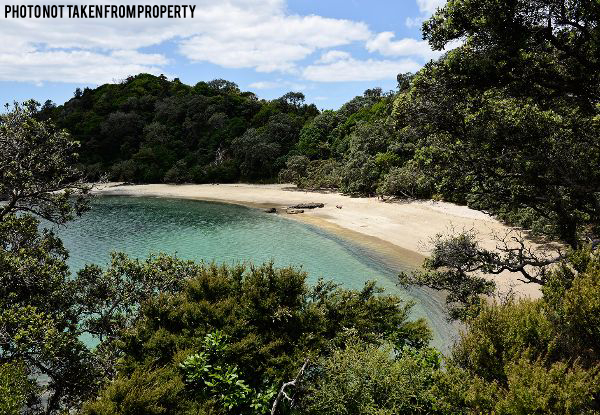 Two-Night Stay for Two People in the Private Waiotoi Bush Hideaway - Option for Three Nights