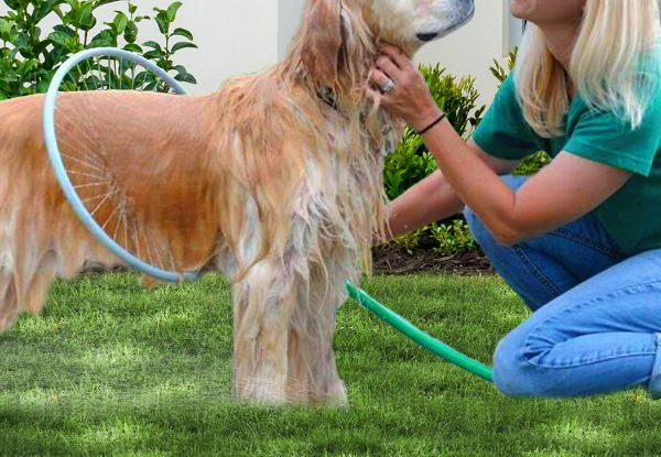 Pet Shower Hair Clean Kit Tool