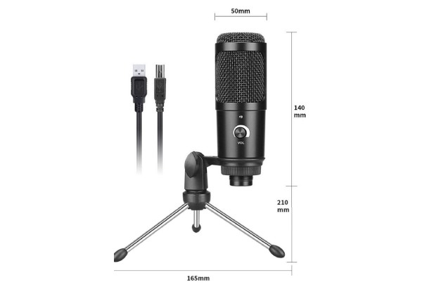 Metal USB Recording Microphone