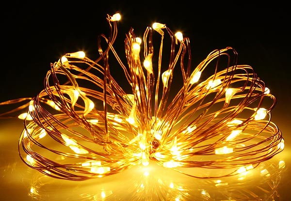 String of 100 Warm White LED Copper Lights