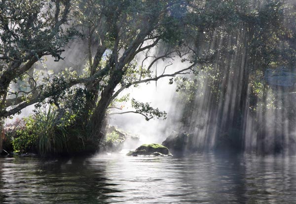 New & Unique to KJet Rotorua, Manupirua Hot Pools & Mokoia Island Magic Trip - Options for a Child or Adult