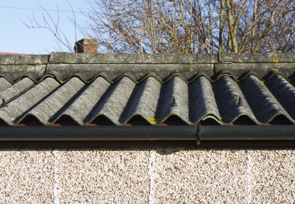 Roof Treatment for Moss, Mould, Lichen, Roof & Gutter Inspection for a Three-Bedroom, Single-Storey Home - Options for a Four- or Five-Bedroom Home