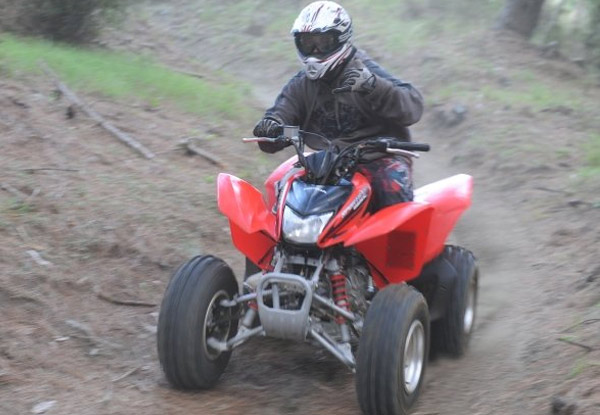 90-Minute 'Trail Blazer Safari' Quad Bike Adventure for One - Options for up to Six People
