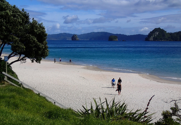 Four-Day Beach It Tour incl. Meals, Kiwi Guides, Camping Accommodation & Transport