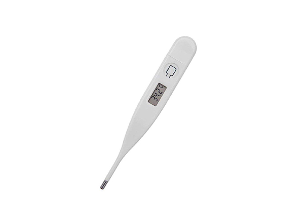 Electronic Thermometer - Option for Two