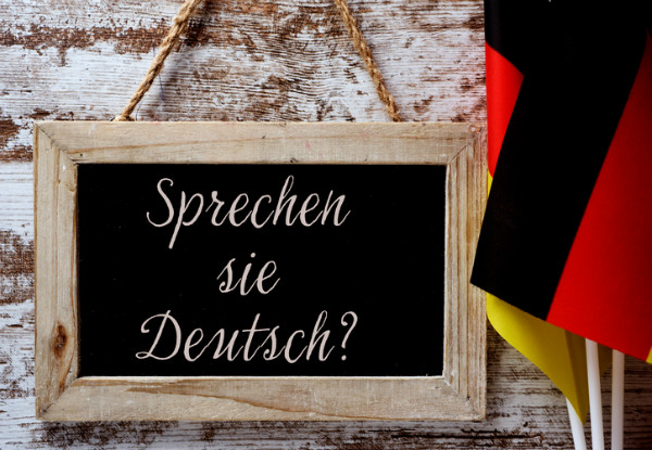 Online German Language Course - Beginner to Advanced Levels - Options for Six, 12, or 18 Months