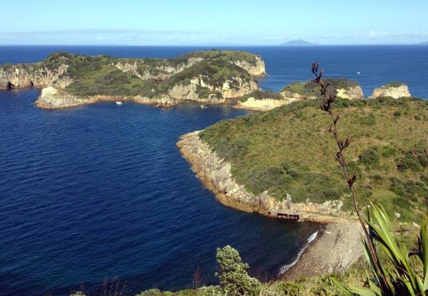 From $30 for a Sightseeing & Snorkeling Experience Around Kawau & Tawharanui - Options for Island Experiences to Great Barrier, Mokohinaus & Hen & Chicks (value up to $200)