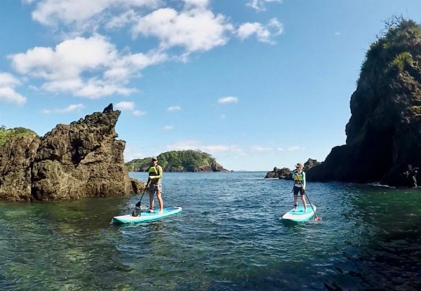 Two-Hour Guided SUP Tour of the Spectacular Tutukaka Coast for Two People - Options for Four-Hour Tour & up to Six People