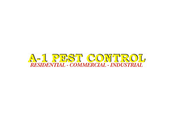 Interior or Exterior Pest Control Services for Flies, Spiders & Other Common Insects - Option for Both Available