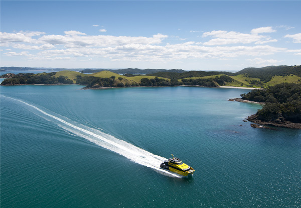 Discover the Bay - Hole in the Rock Cruise incl.  Island Stop-Over for One Adult - Options for Child, Two Adults or Family Pass