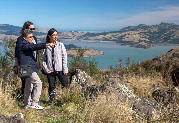 Adult Ticket for Christchurch's Sightseeing Gondola Experience - 72-Hour Flash Sale - While Stocks Last