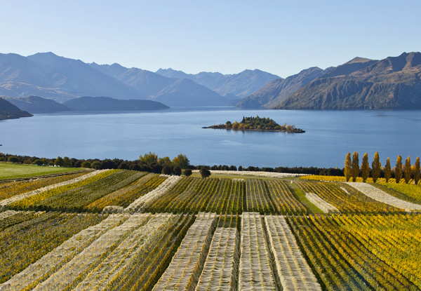 Full-Day Queenstown Wine Tour for One - Options up to Four People with Enjoi Queenstown