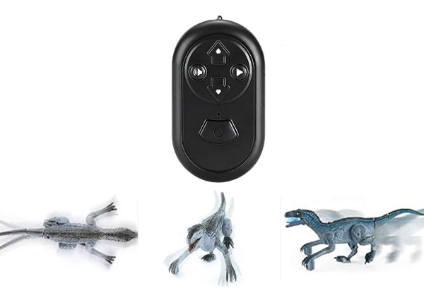 2.4G Remote Control Walking Roaring Dinosaur Toy - Available in Two Colours & Option for Two-Pack