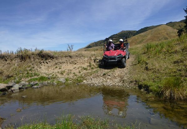 Two-Hour Off-Road Buggy Experience for Up to Three People - Option for Four People