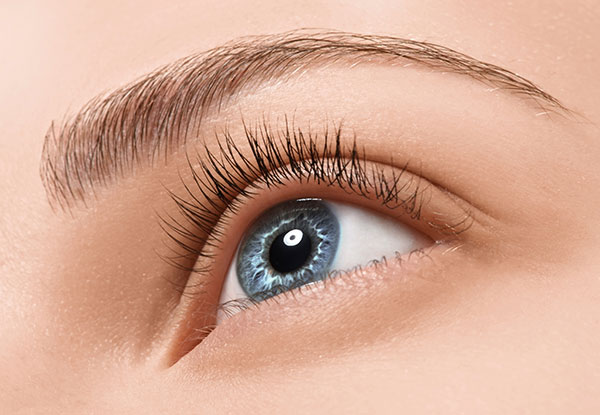Full Brazilian Wax - Option for an Eye Trio incl. Eyebrow Shape & Tint & Eyelash Tint - Available at Two Locations