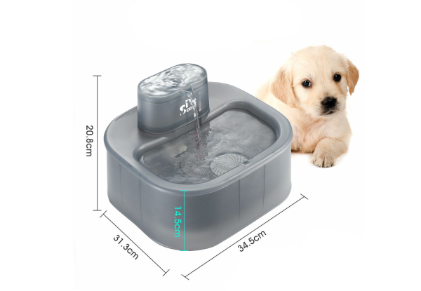 6L Automatic Pet Water Dispenser