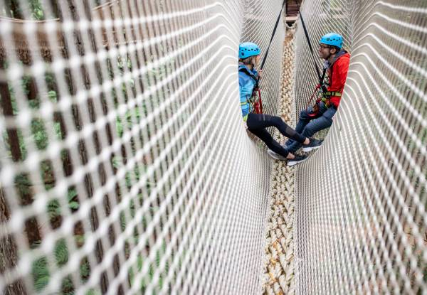 Guided Redwoods Altitude Experience for Adult or Child incl. Ziplining & 25-Metre High Guide