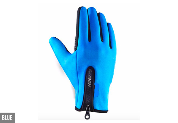 Unisex Ski Gloves - Two Colours Available