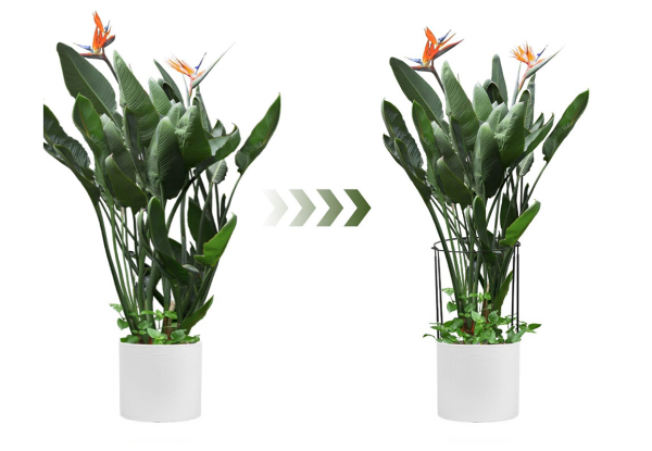 Six-Piece Plant Support Stakes