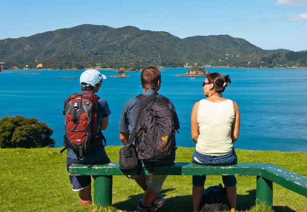 Return Ferry Trip to Otehei Bay in the Spectacular Bay of Islands - Options for Adults, Children & Families