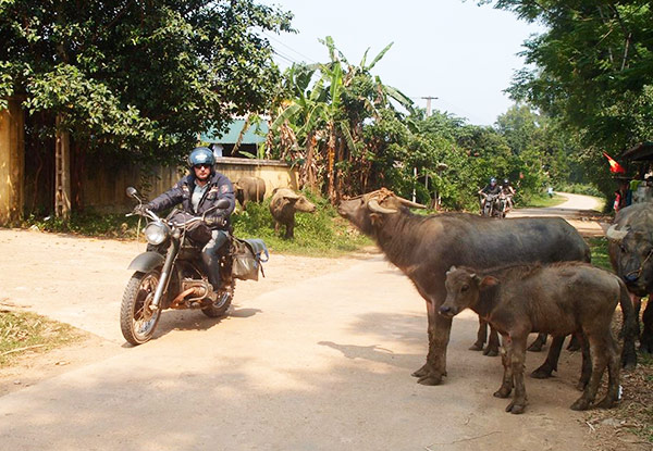 Per-Person Twin-Share for a Five-Day Northwest Vietnam Motorbike Tour incl. English Speaking Guide, Safety Gear, Gas & Sightseeing