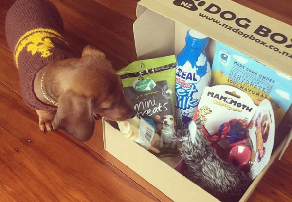 NZ DOG BOX Surprise Box - Two Options Available
