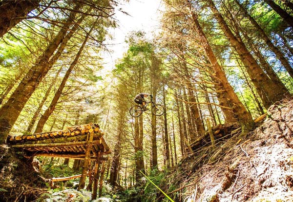 $39 for Two All Day Mountain Bike Rentals
