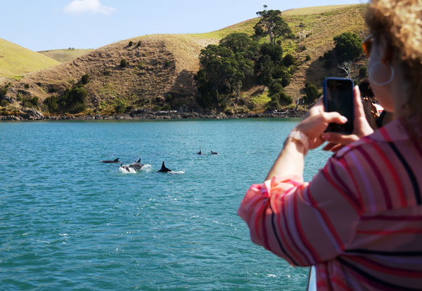 Auckland Whale & Dolphin Safari Ticket - Adult & Child Options Available