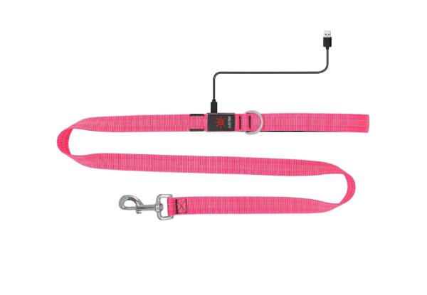 USB Rechargeable LED Dog Leash - Available in Three Colours & Option for Two