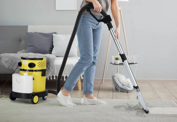 Five-In-One Portable Cordless Carpet Cleaner
